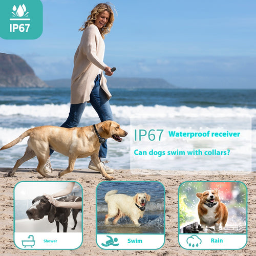 Multiple Training Modes Smart 3-in-1 Dog Trainer Bark Stopper
